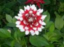 pict0028.jpg
