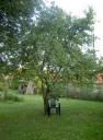 pict0031.jpg