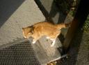 pict0037.jpg