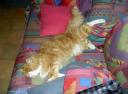 pict0235.jpg
