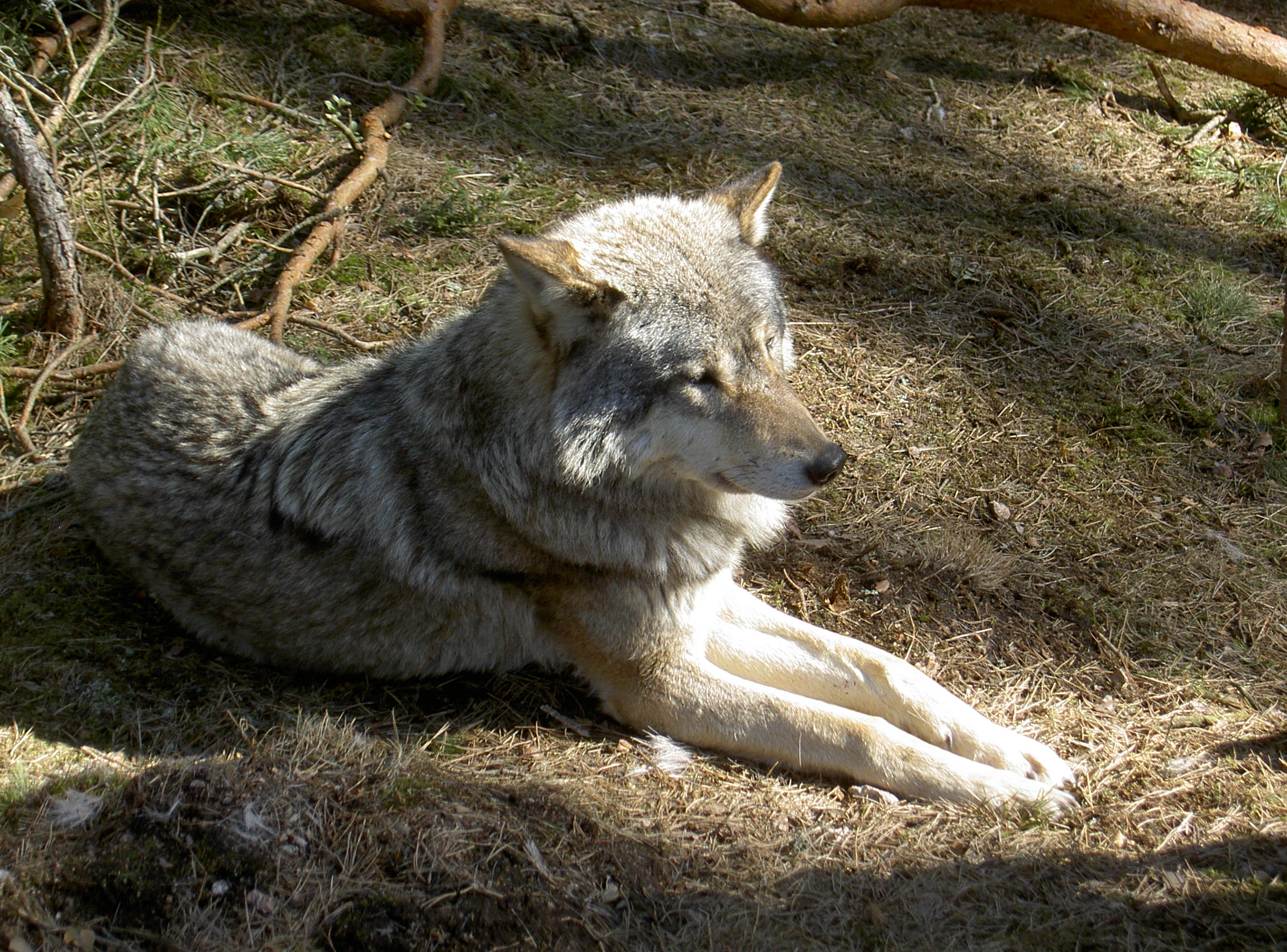 pict5569.JPG