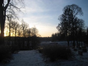 julsaga-om-max-o-saga