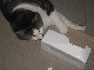 mer-biter-paket
