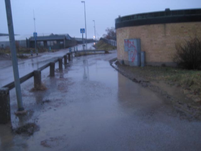 morgonpromenad-20-dec-08