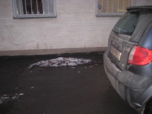 snohog-i-vadstena1