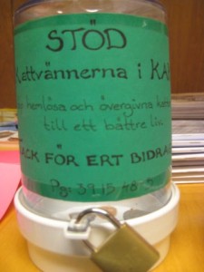stod-kattjouren