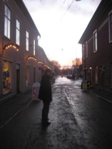tranga-gator-i-vadstena