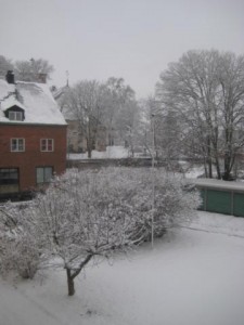 vit-gard-13-dec-082