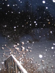 det-snoar-3-jan-09