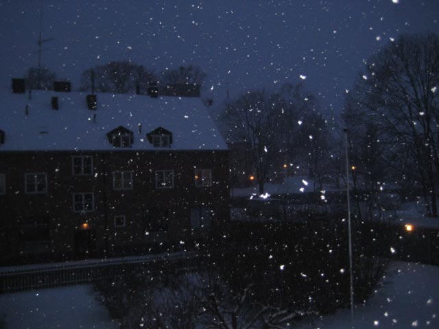det-snoar-pa-var-gard-3-jan-09