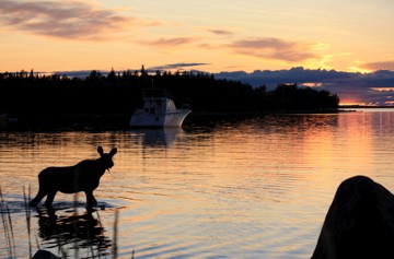 lohijarvi