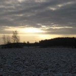 promenad-narke-1