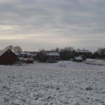 promenad-narke-3