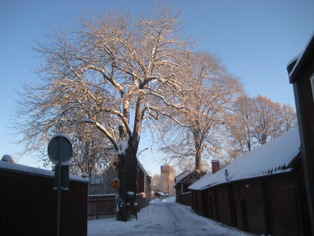 vinterbilder-arboga-7