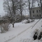 det-snoar-for-fullt22-febr09