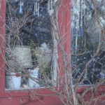 felix-i-fonstret-narbild