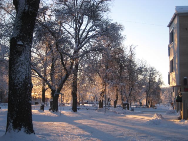 morgon-2