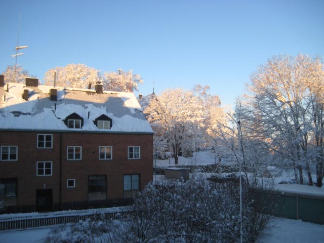 morgon-9-feb-09