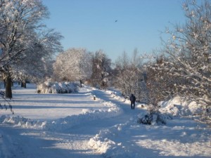 promenad-5