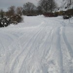 skidspar-invid-apromenaden skidspar-invid-apromenaden