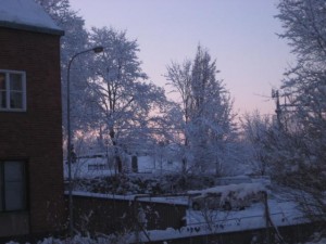 sondag-e-m-8-feb-09