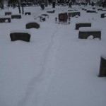 upptrampad-stig-t-graven