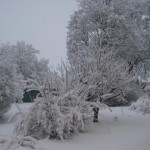 vinter-igen-51