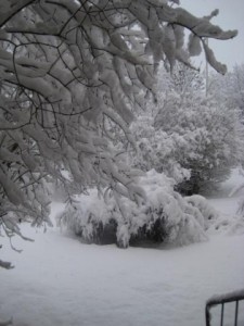 vinter-igen-8-febr-091 vinter-igen-8-febr-091