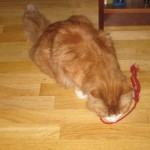 wilma-leker-2