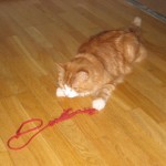 wilma-leker-3