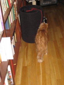 wilma-leker-4
