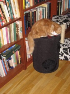 wilma-leker-5