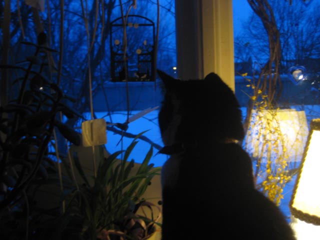 felix-och-bla-gryning-3-mars09