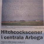 hitchcockscener-i-arboga