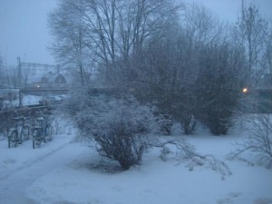 sno-igen-2-mars-09