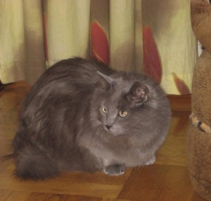 tova-2-kajsas-katt-25-mars-09