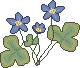 blasippan-ute-i-backarna-star