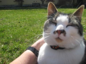 curry-njuter-pa-grasmattan
