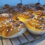 fardiga-bullar