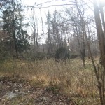 in-the-middle-of-nowhere1