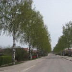 kungsorsvagen-i-varskrud