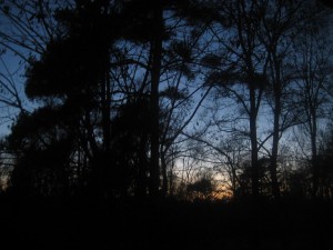 solnedgang-i-skane-april09