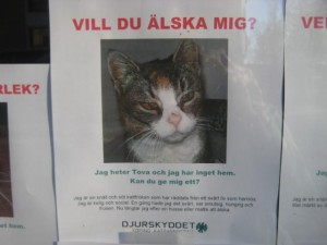 tova-hemlos-katt-april-09