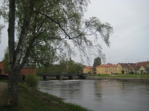 arbogaavy2