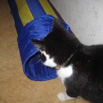 felix-tittar-in-i-bla-tunneln