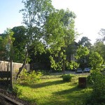garden-efter