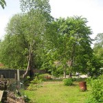 garden-fore