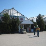 karlssons-blommor-1