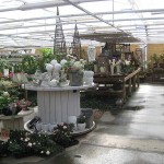 karlssons-blommor-2