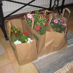 karlssons-blommor-4